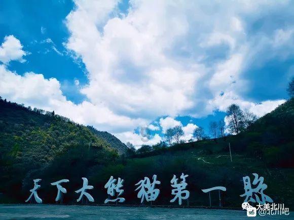 探索世界的奇妙之旅,尽在请问家里装修的话什么东西含甲醛多?